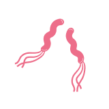 NR-M-MS4